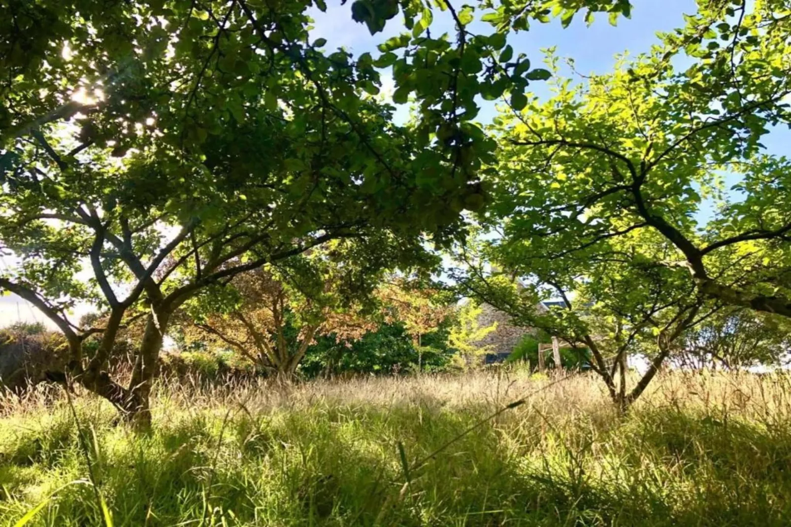 Maison Typique Bretonne-Areas within 20km in summer
