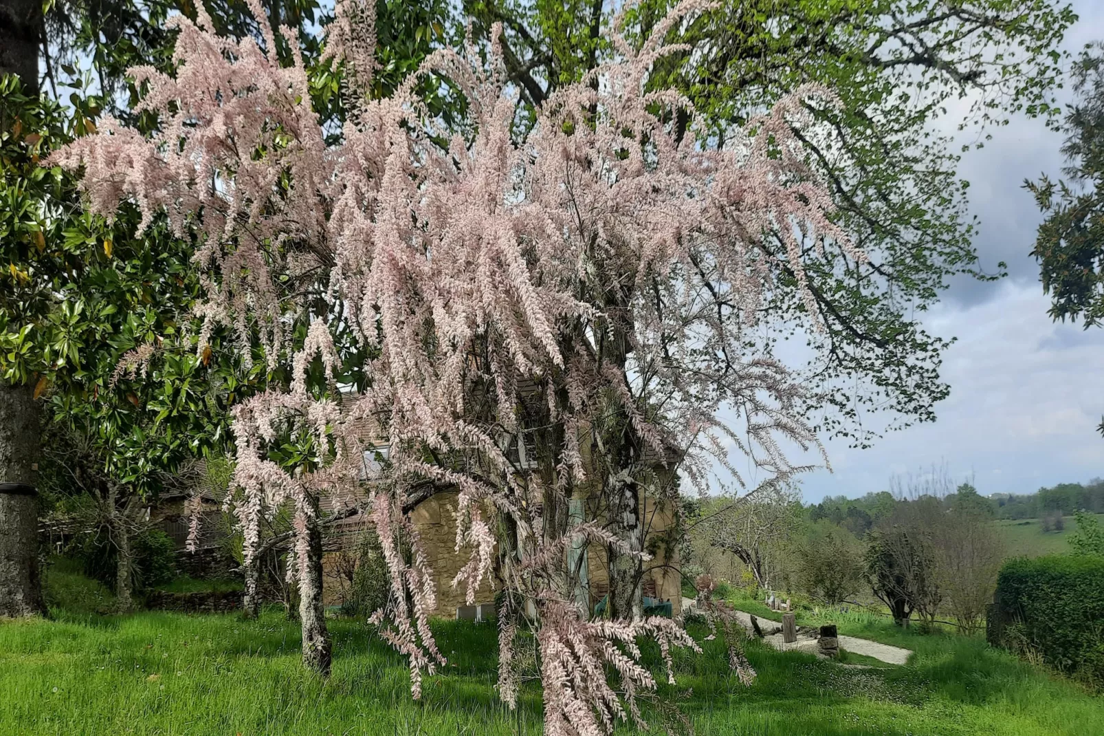 La Cipière - L'Hirondelle-Garten Sommer