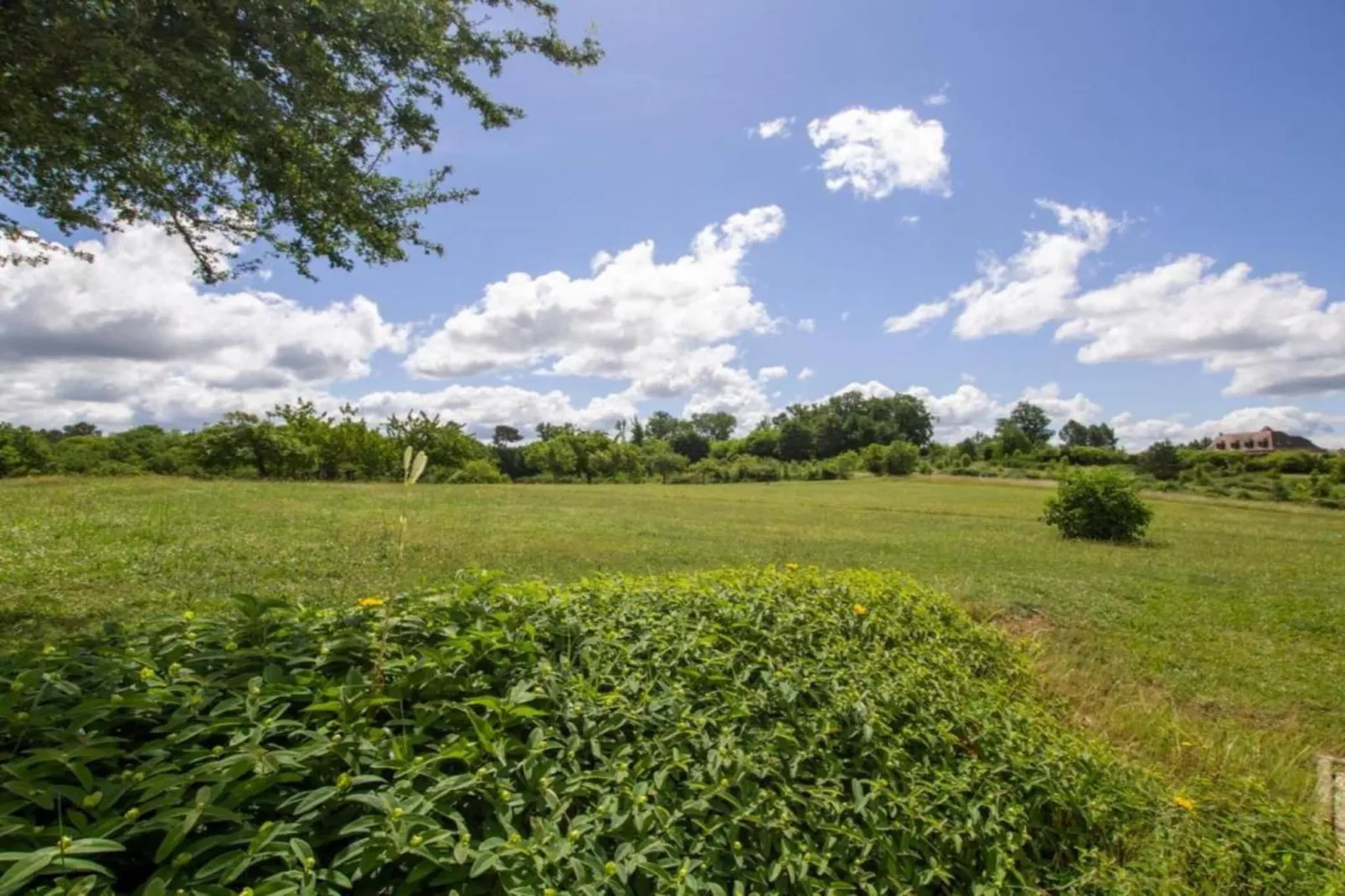 Le Phénix-Areas within 5km in summer