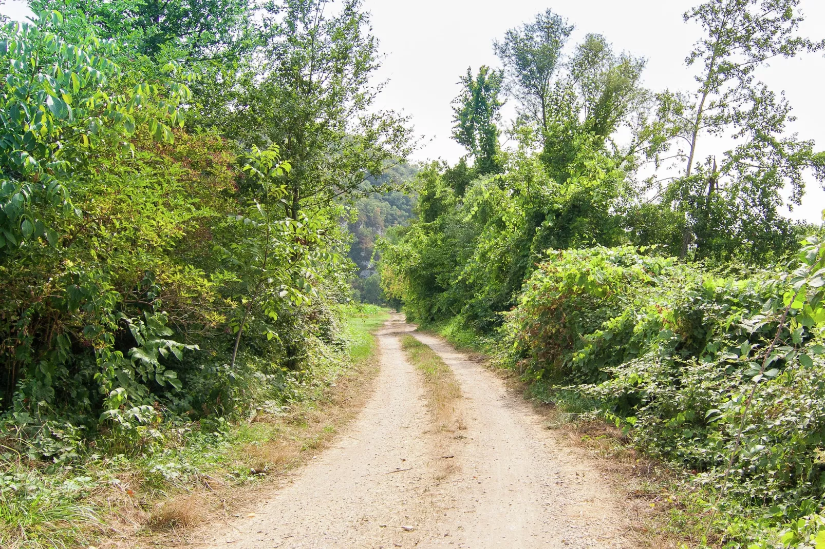 Belle Demeure Ribot 11 Pers-Gebiete Sommer 1 km