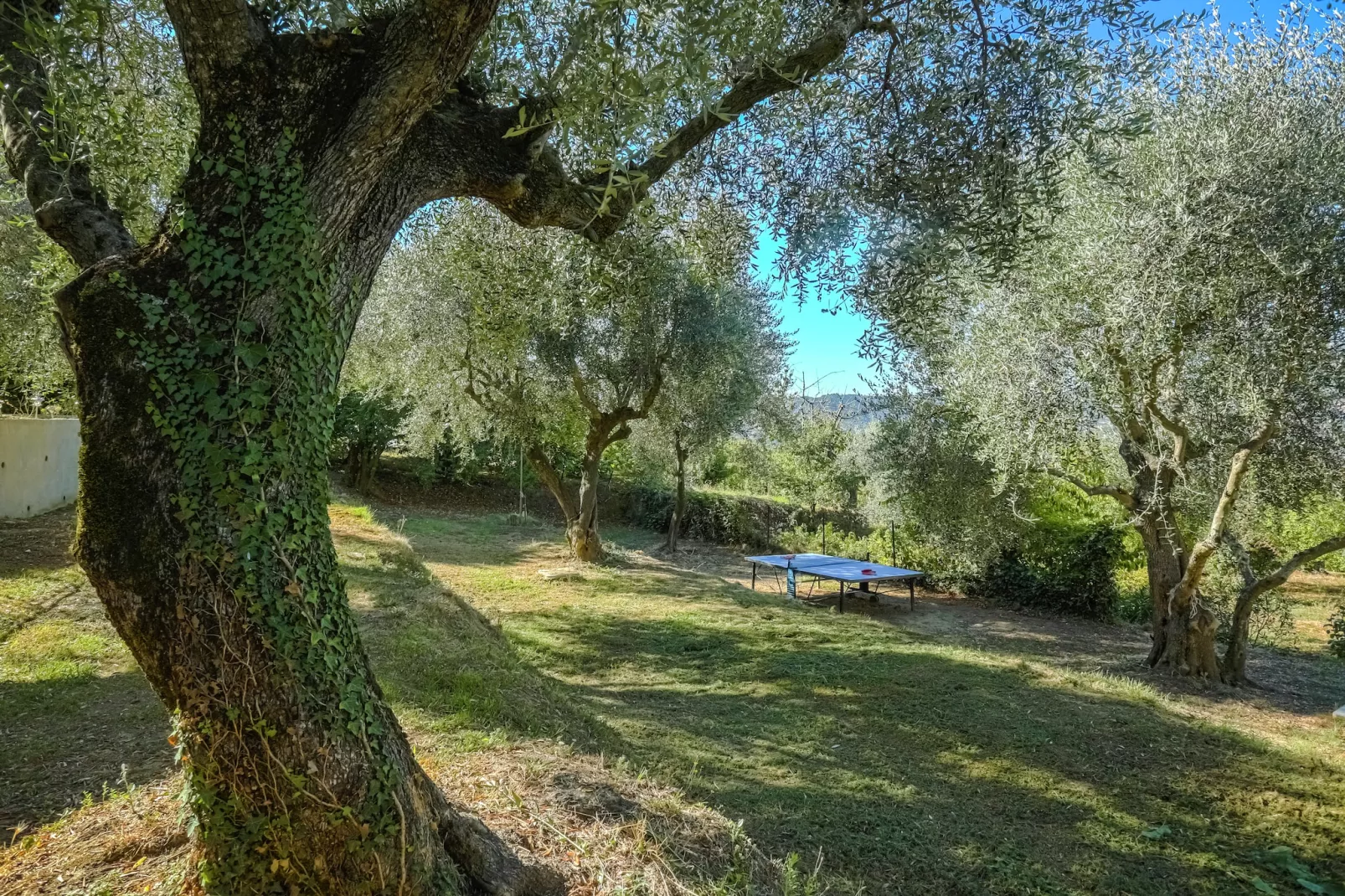 La Bergerie-Garten Sommer
