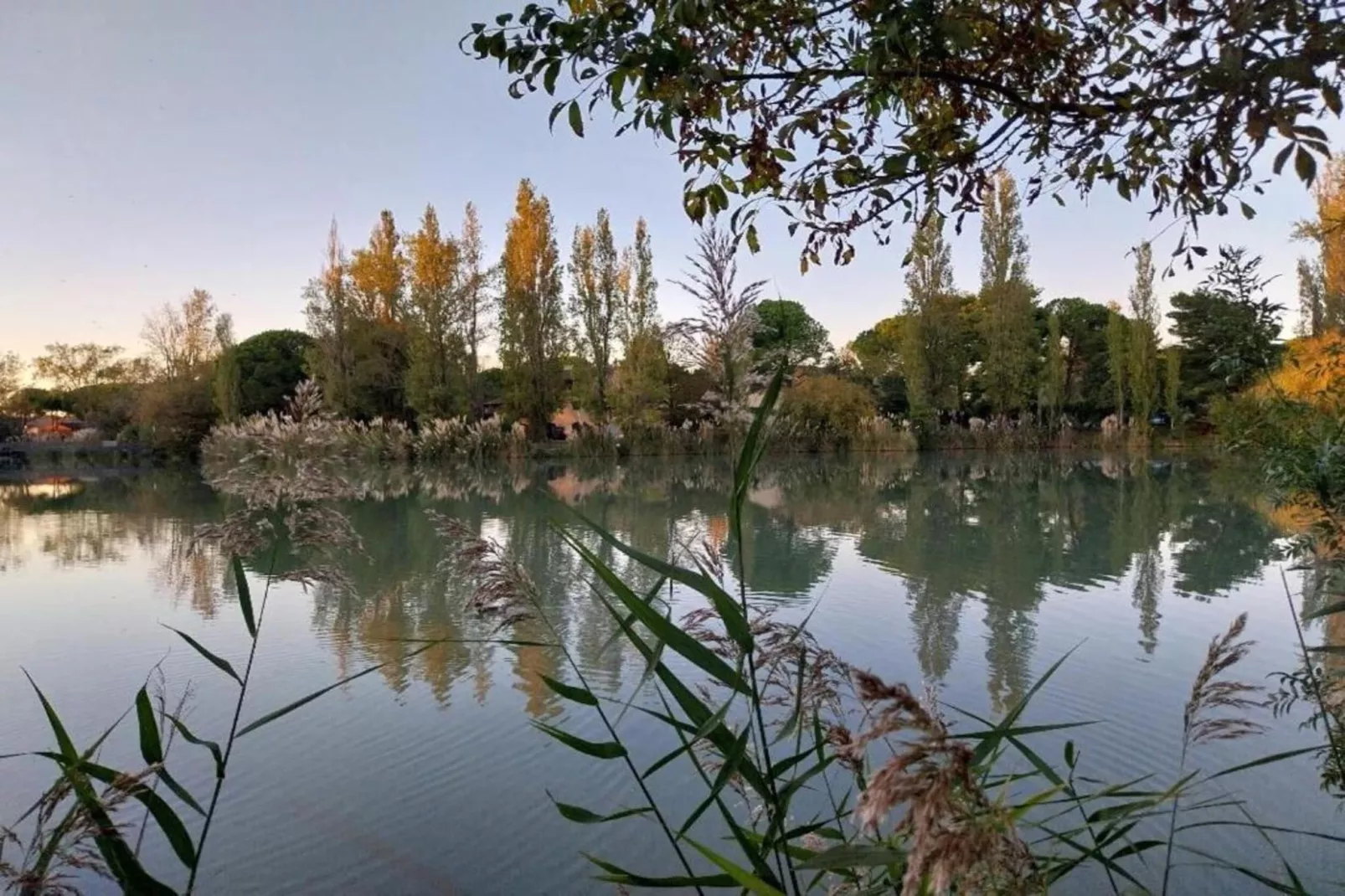 Le village Camarguais Les Gardians 4-Areas within 20km in summer