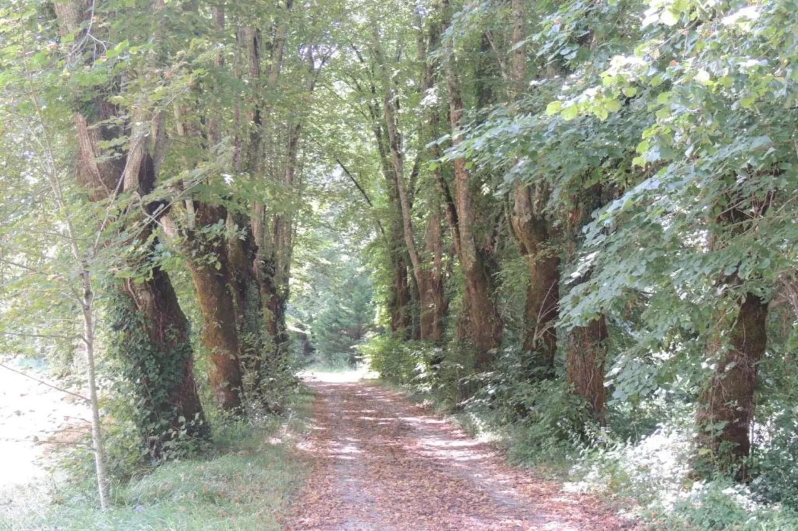 Le Rouvet près de Dordogne-Zones été à 20 km