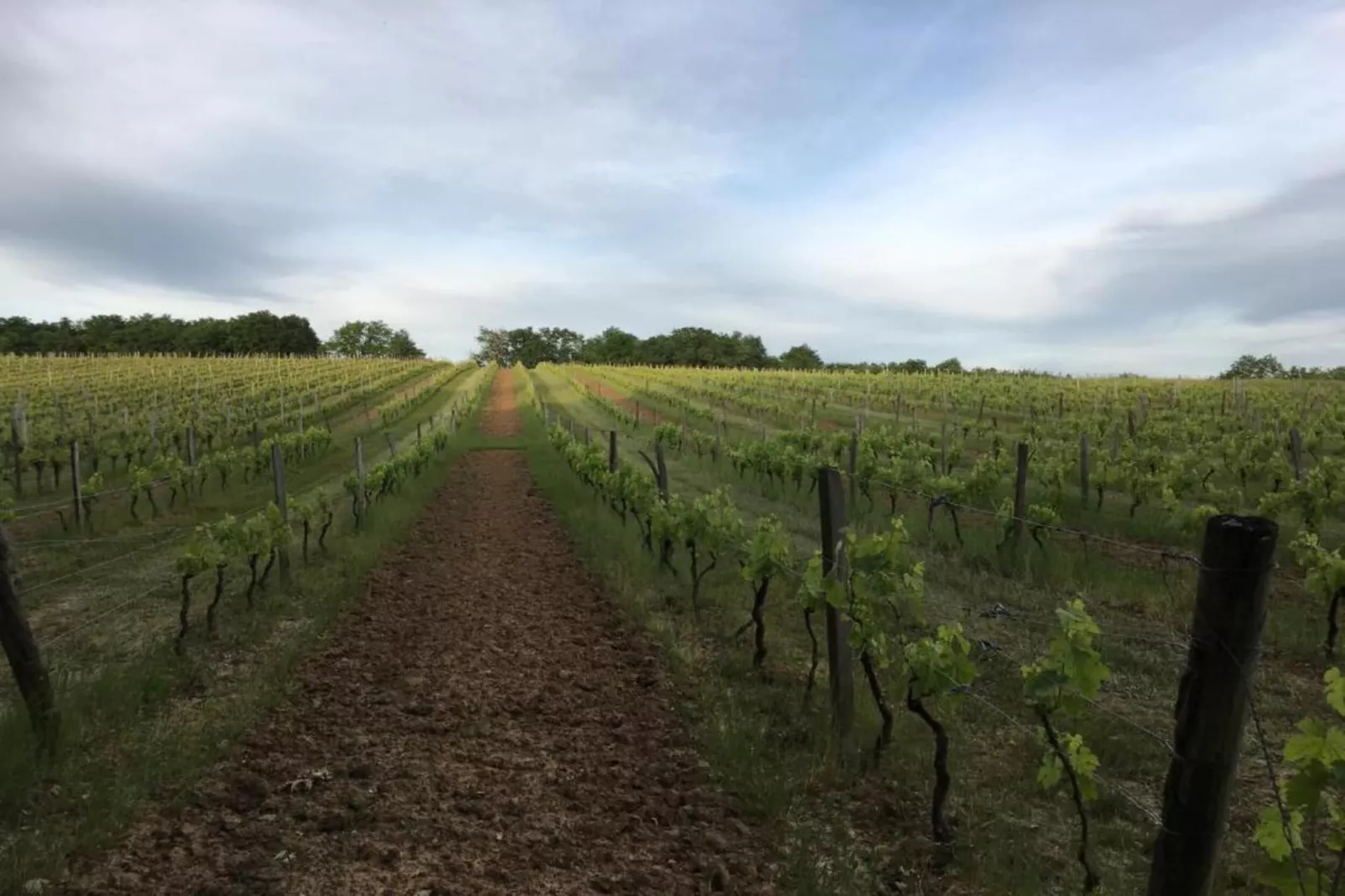 Circaud-Gebiete Sommer 20 km