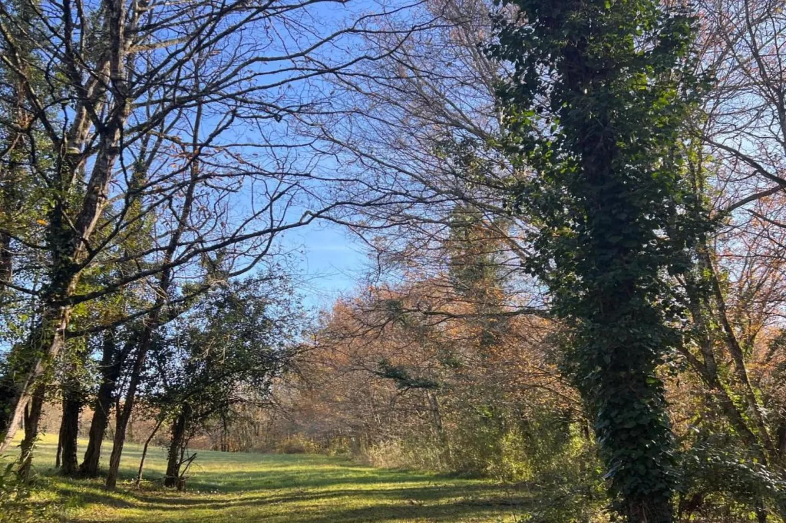 Les Côteaux de Sarlat 2-Zones été à 5 km