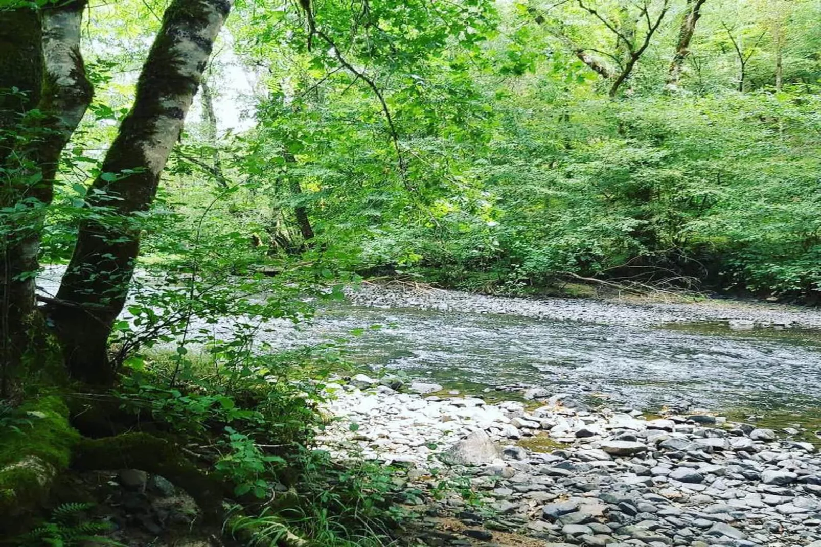 Le Haut Chambon-Zones été à 20 km