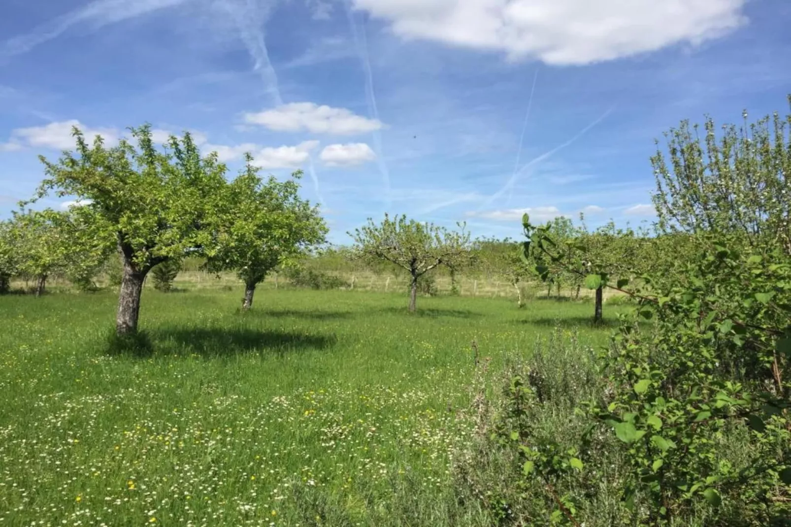 Maison de vacances Lusignac gastverblijf-Zones été à 5 km