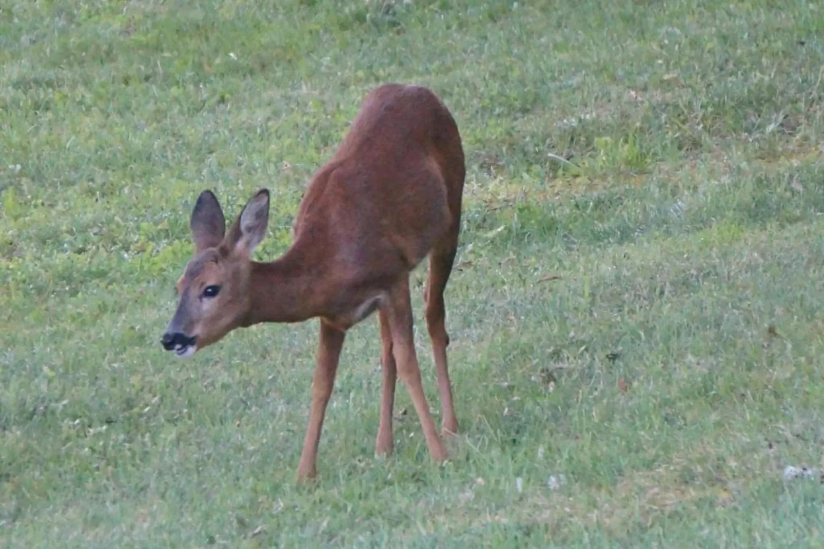 La Chaumière-Zones été à 20 km
