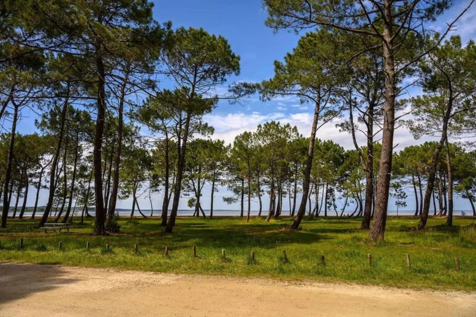 Château de Salles-Zones été à 20 km