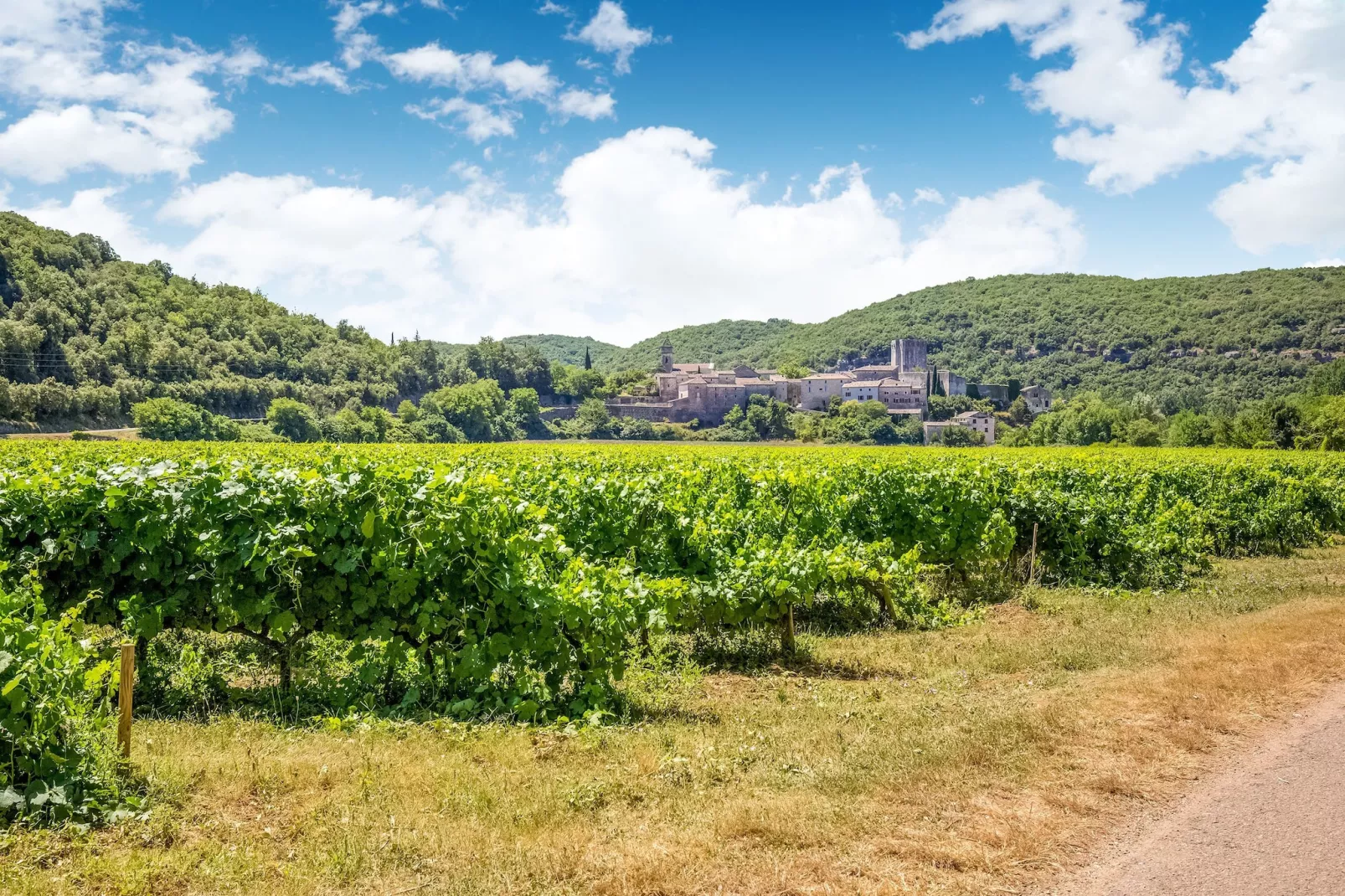 La Bise-Areas within 1km in summer