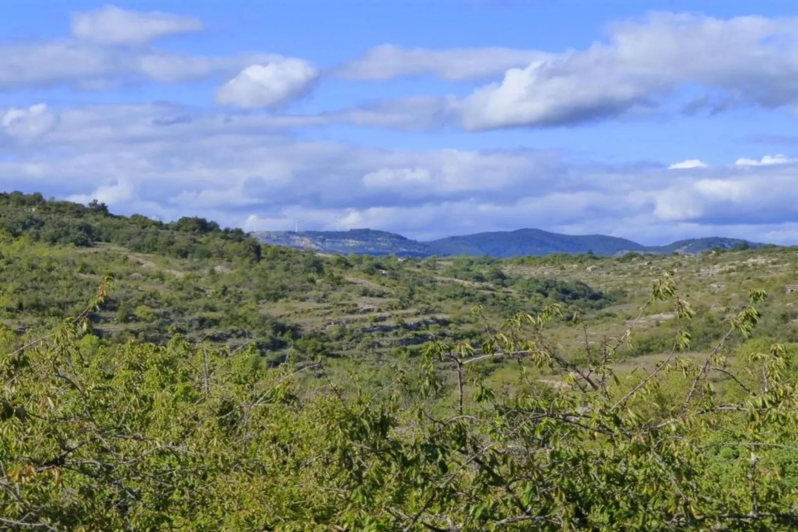La rosalie-Zones été à 5 km