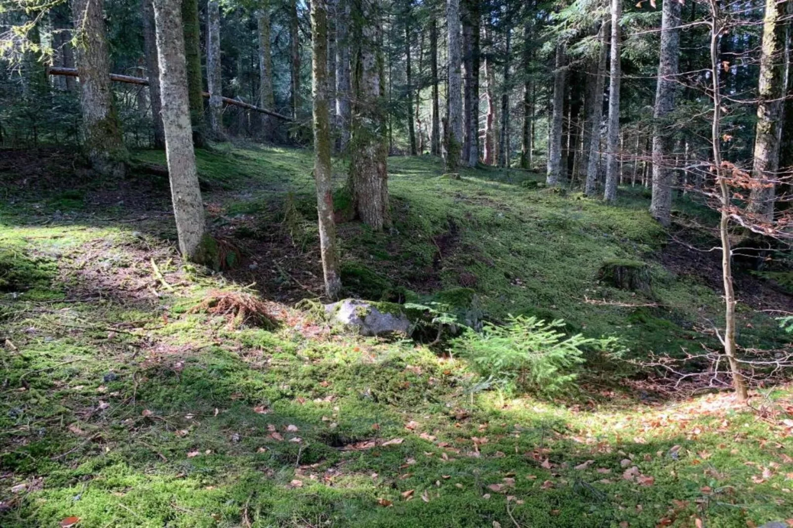 Gite -   SAUVAIN-Zones été à 5 km