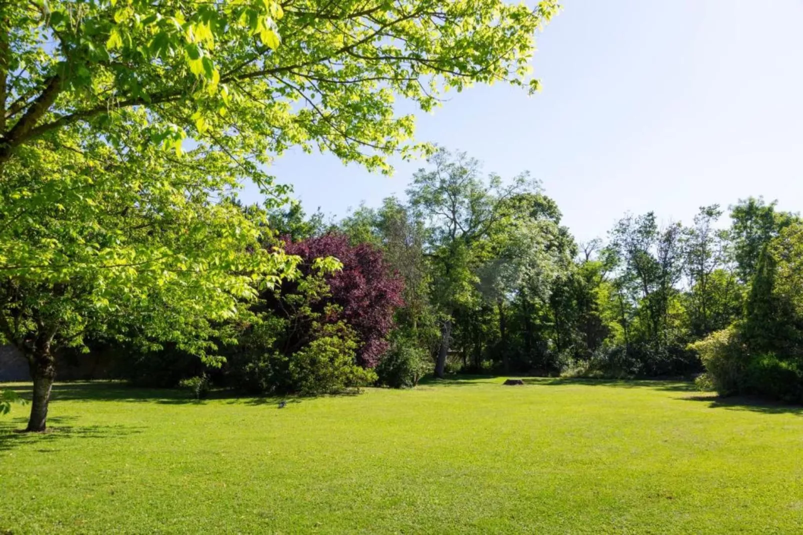 Les Remparts Fleuris-Areas within 20km in summer