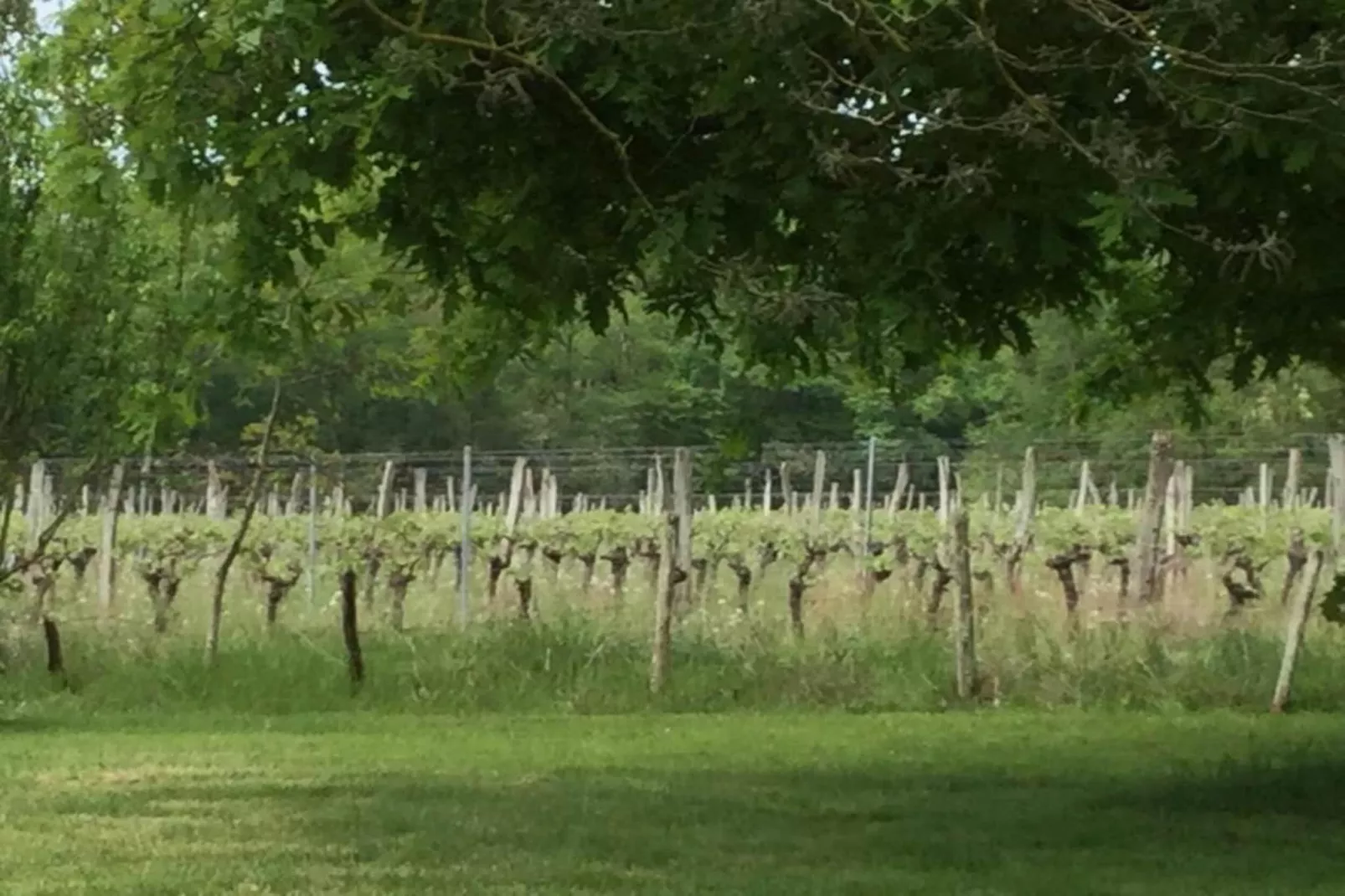 La Coquette-Zones été à 20 km