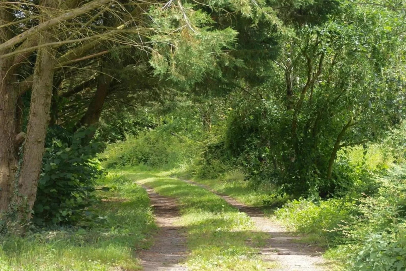 Maison de vacances St Laurent des Mortiers-Gebiete Sommer 20 km