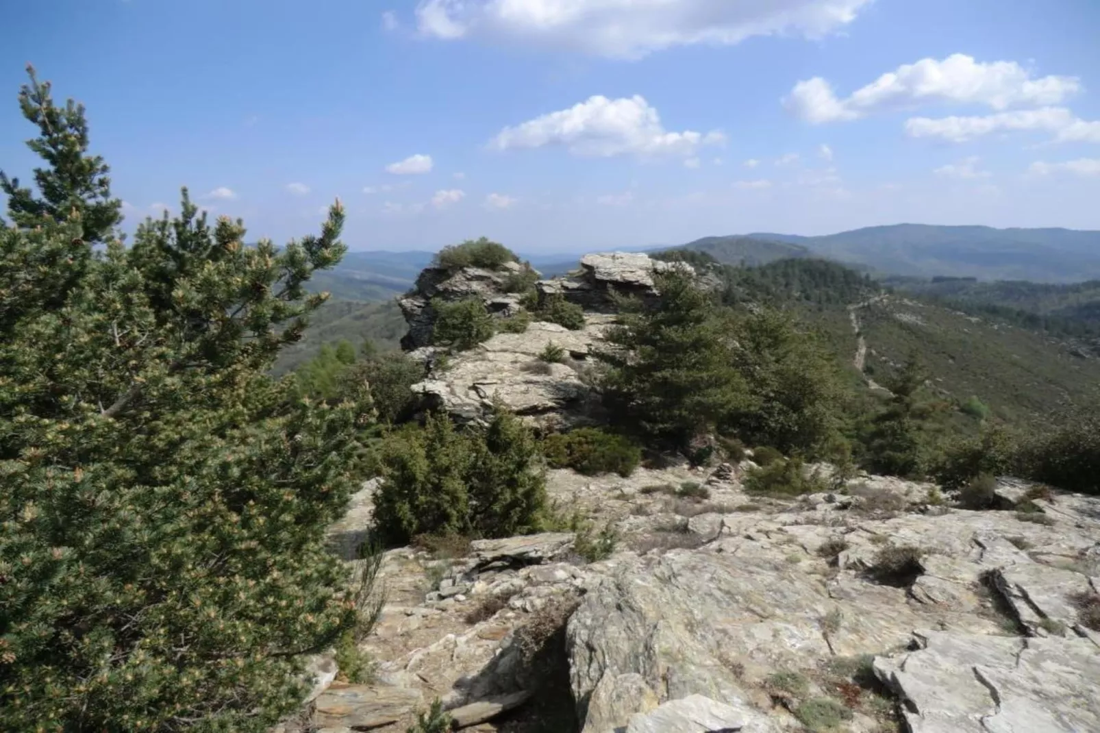Maison de vacances - SEIGNEULLES-Zones d'été à 5 km