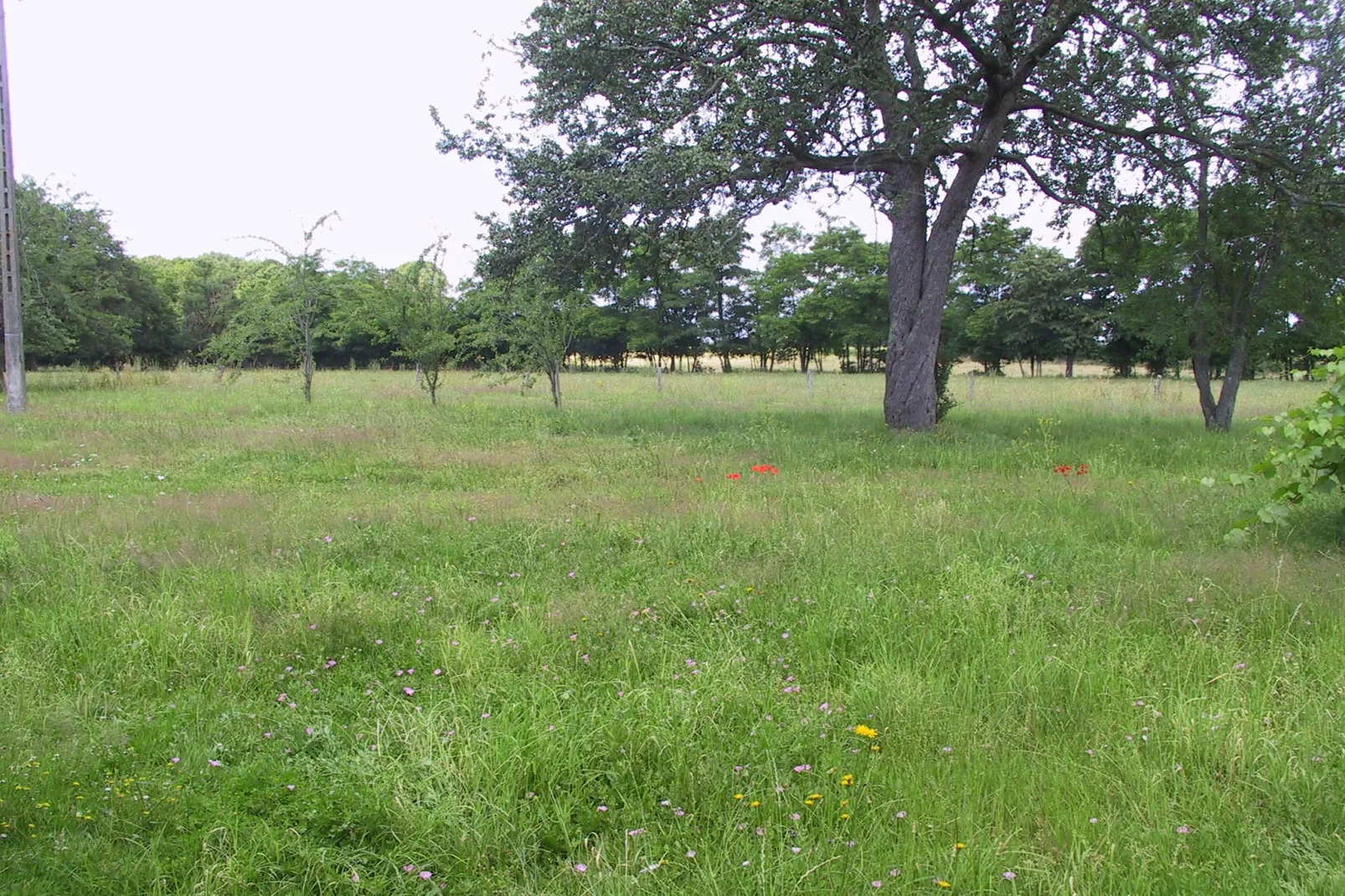 Gite 7 pers Decize-Gebiete Sommer 1 km
