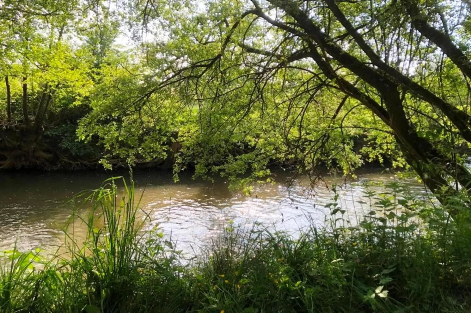 Le Fournil-Areas within 20km in summer