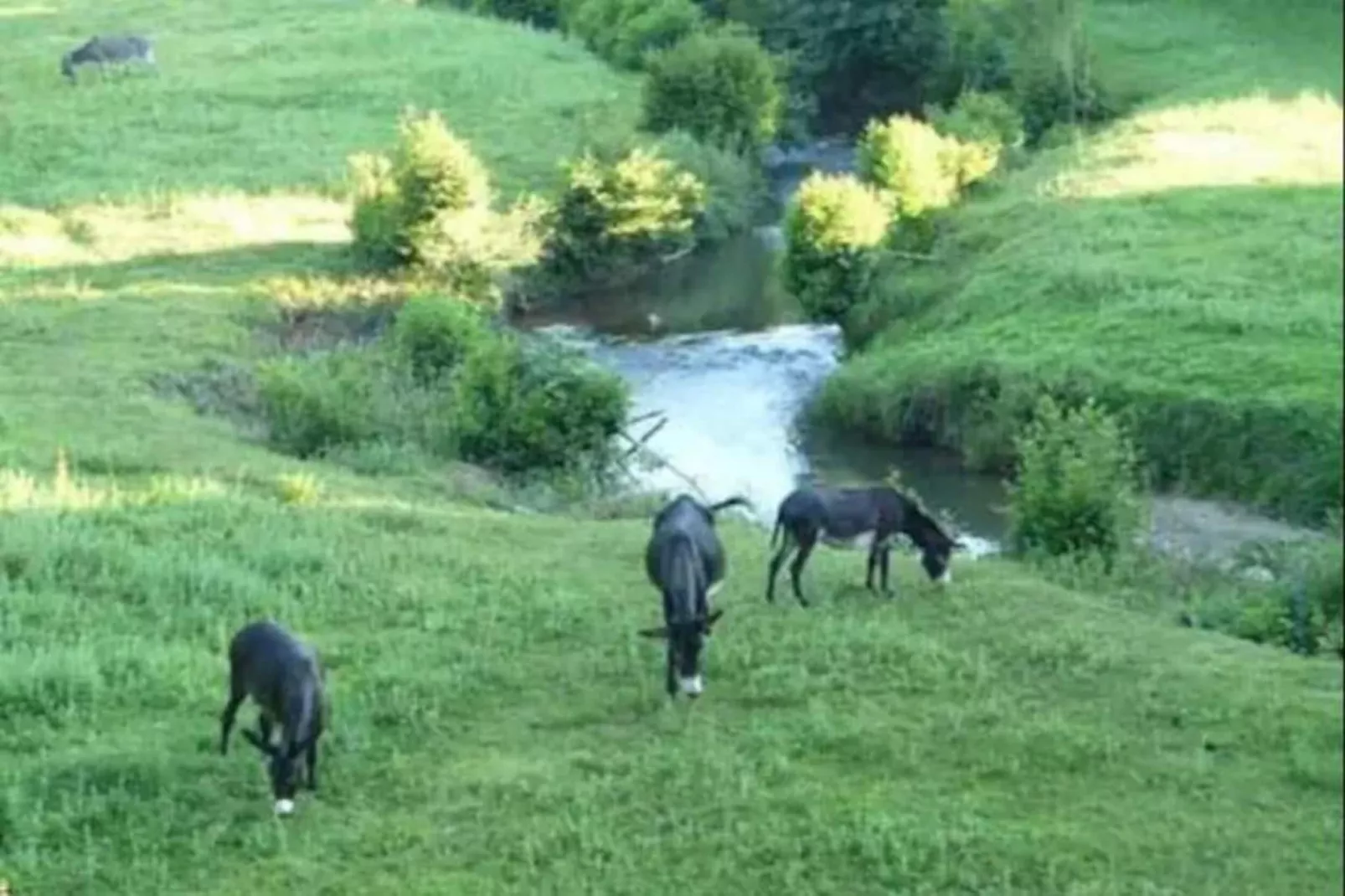Les Collines Iduki 1-Areas within 20km in summer