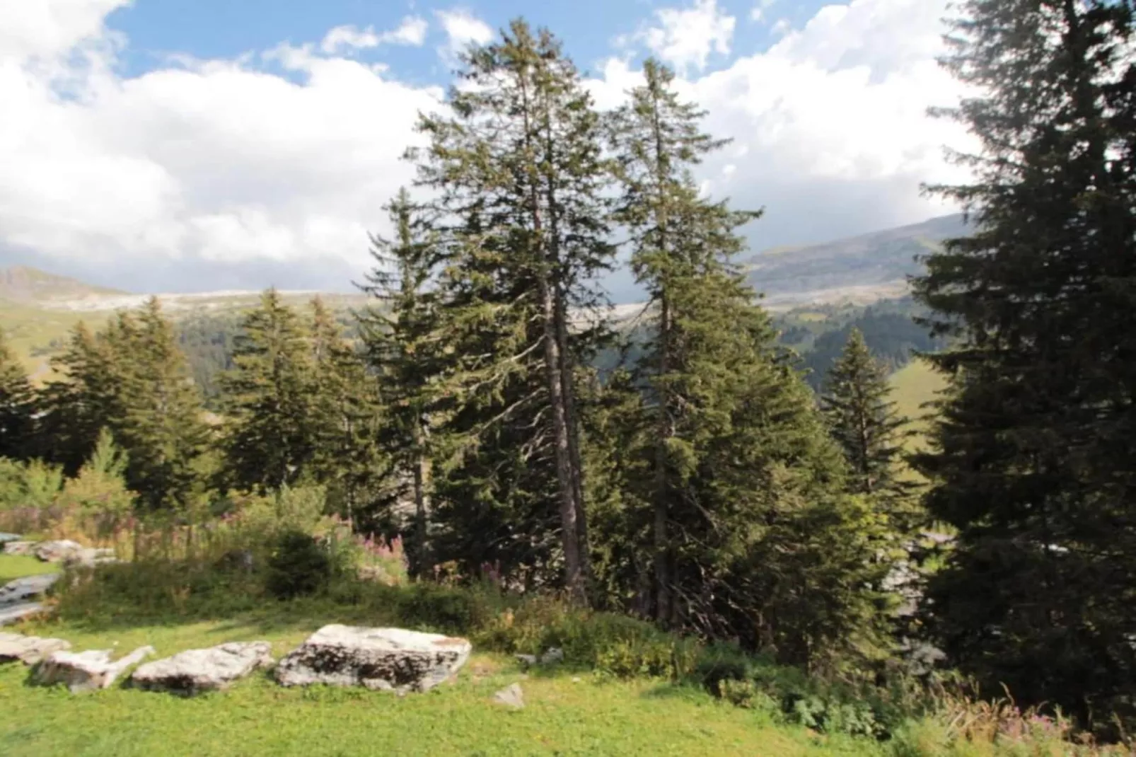 Les Portes du Grand Massif 5-Areas summer 5km