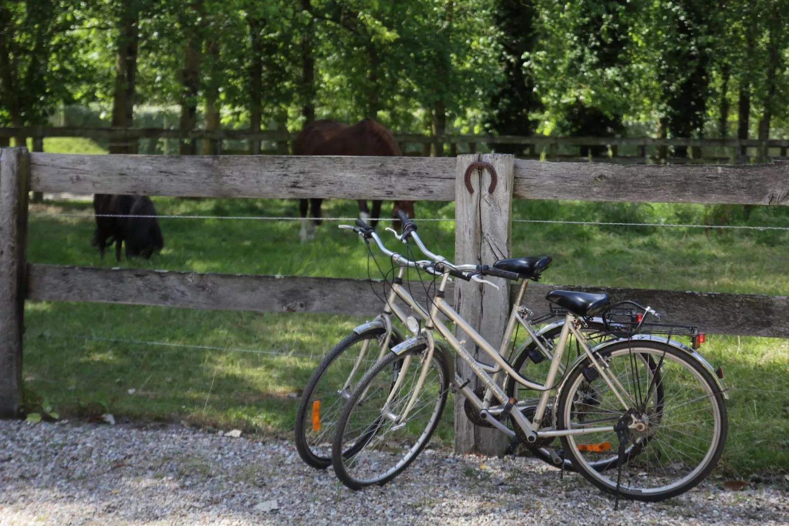 Gîte 10-Park facilities