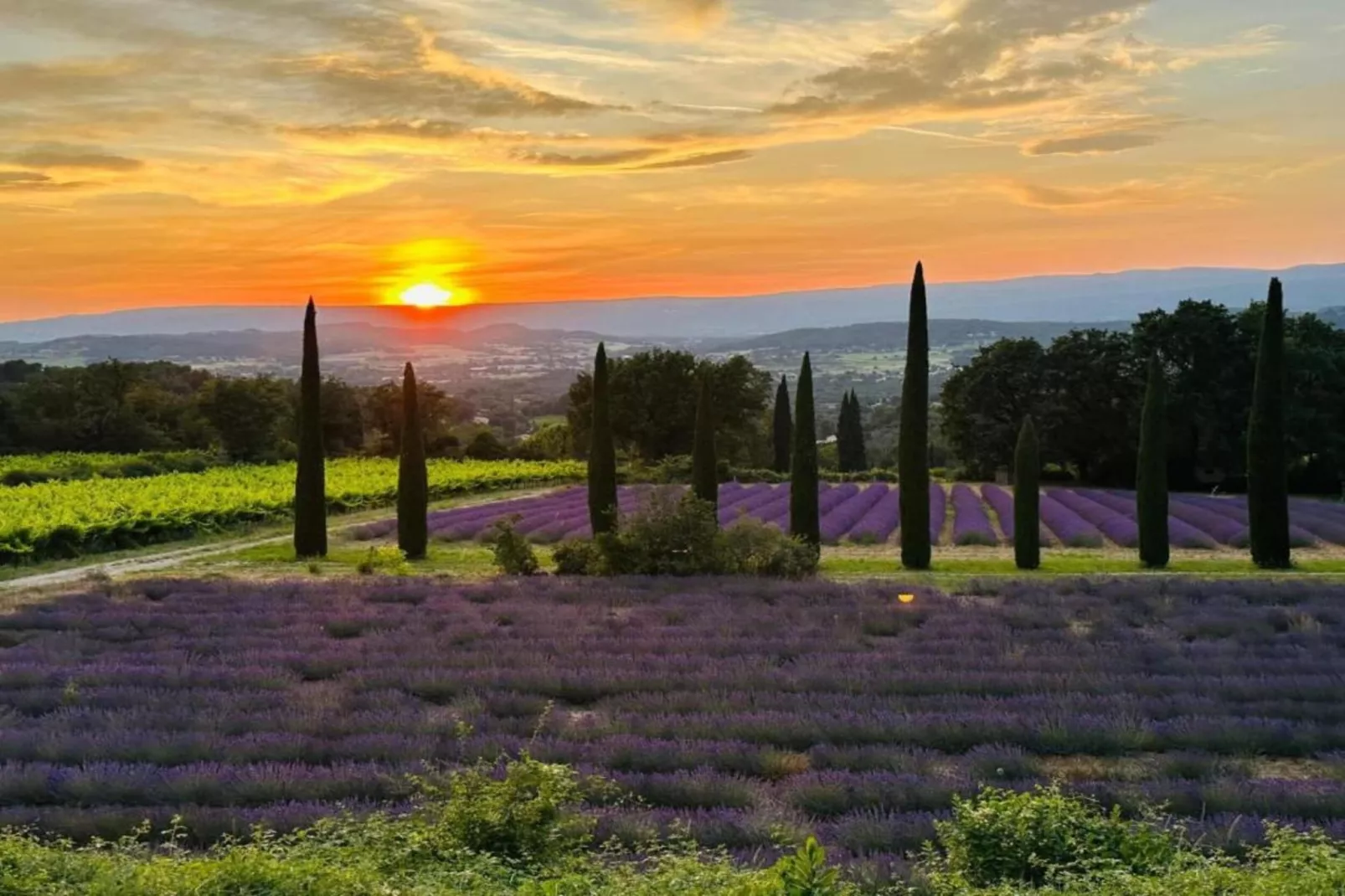 La Petite Colline-Areas within 20km in summer