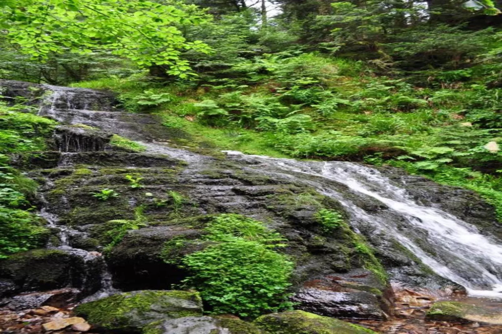 Le Renard-Areas within 20km in summer