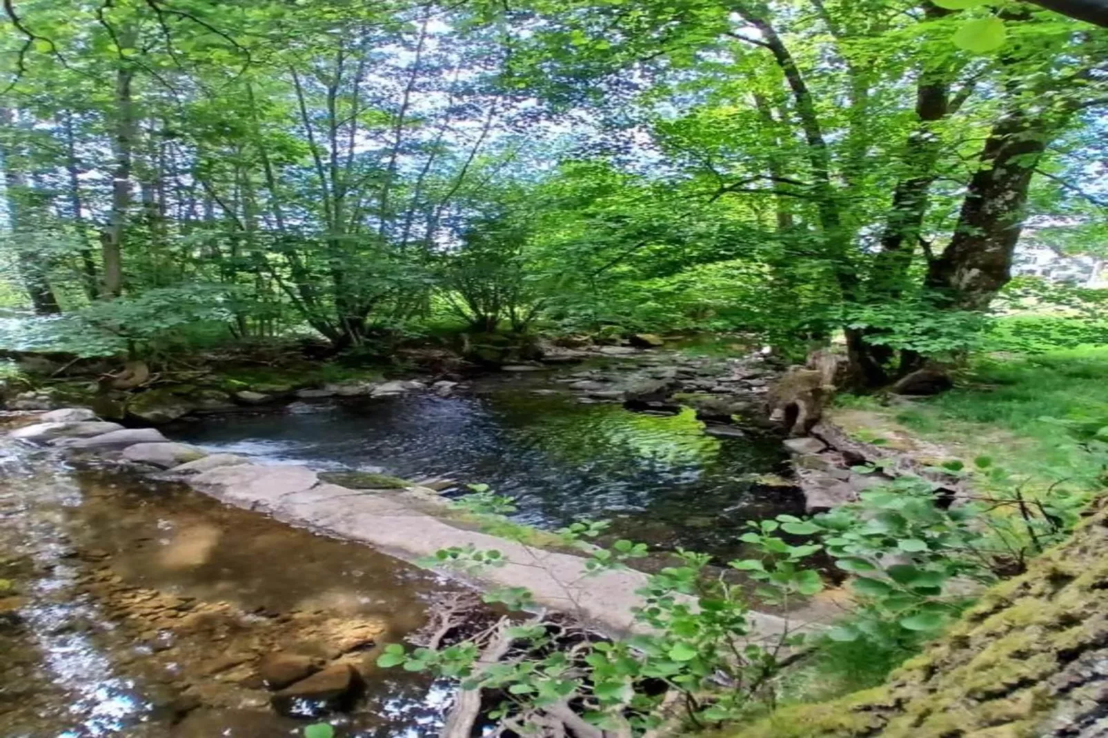 Chalet l'Aigle - Saint-Maurice-sur-Moselle-Areas within 20km in summer