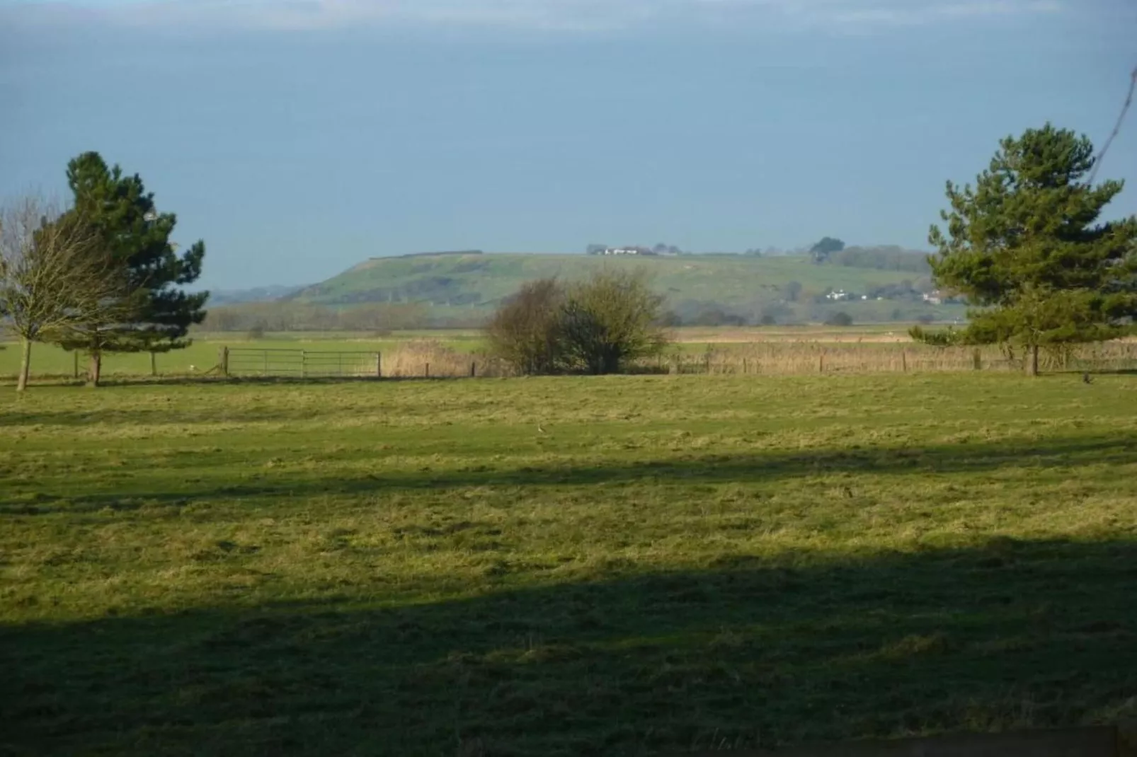 Rainbow Petty-Areas within 20km in summer