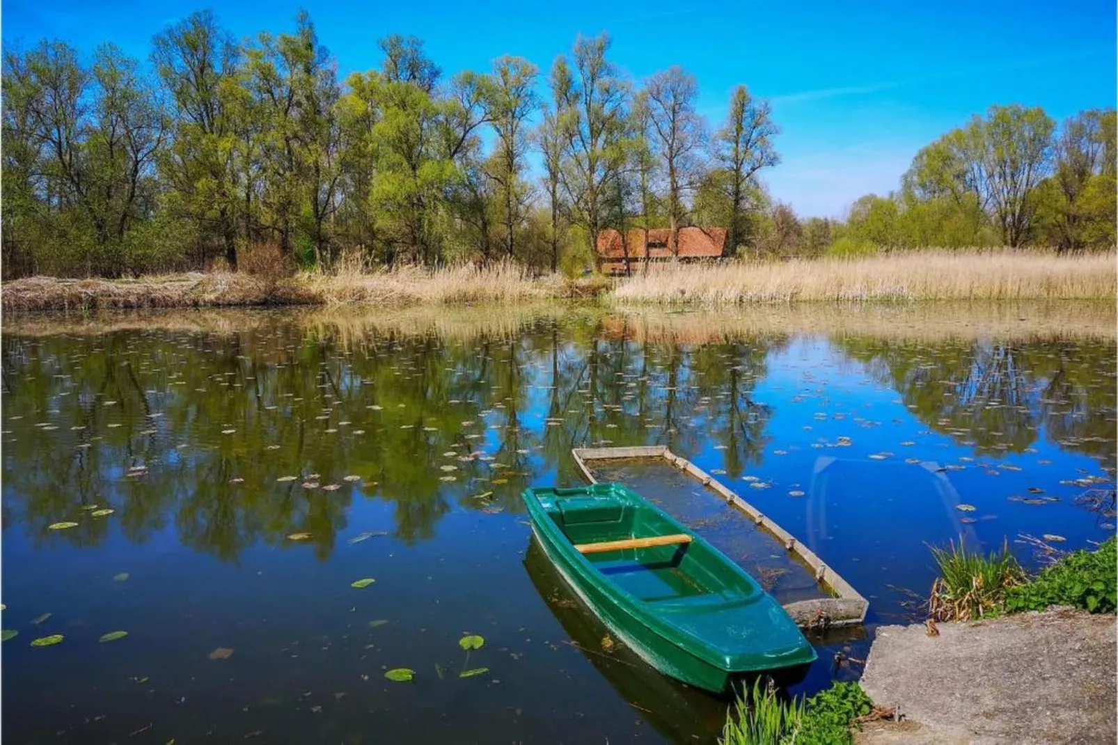 House Kozji Vrh-Areas within 20km in summer