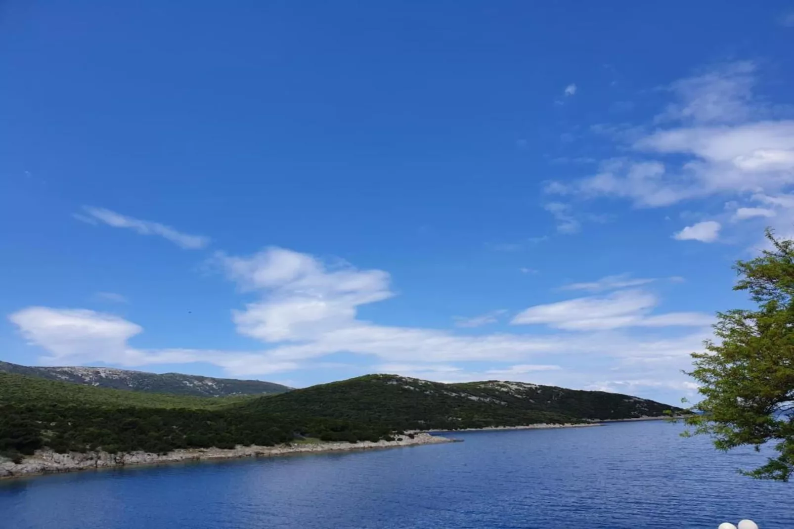 Antiqua-Areas within 1km in summer