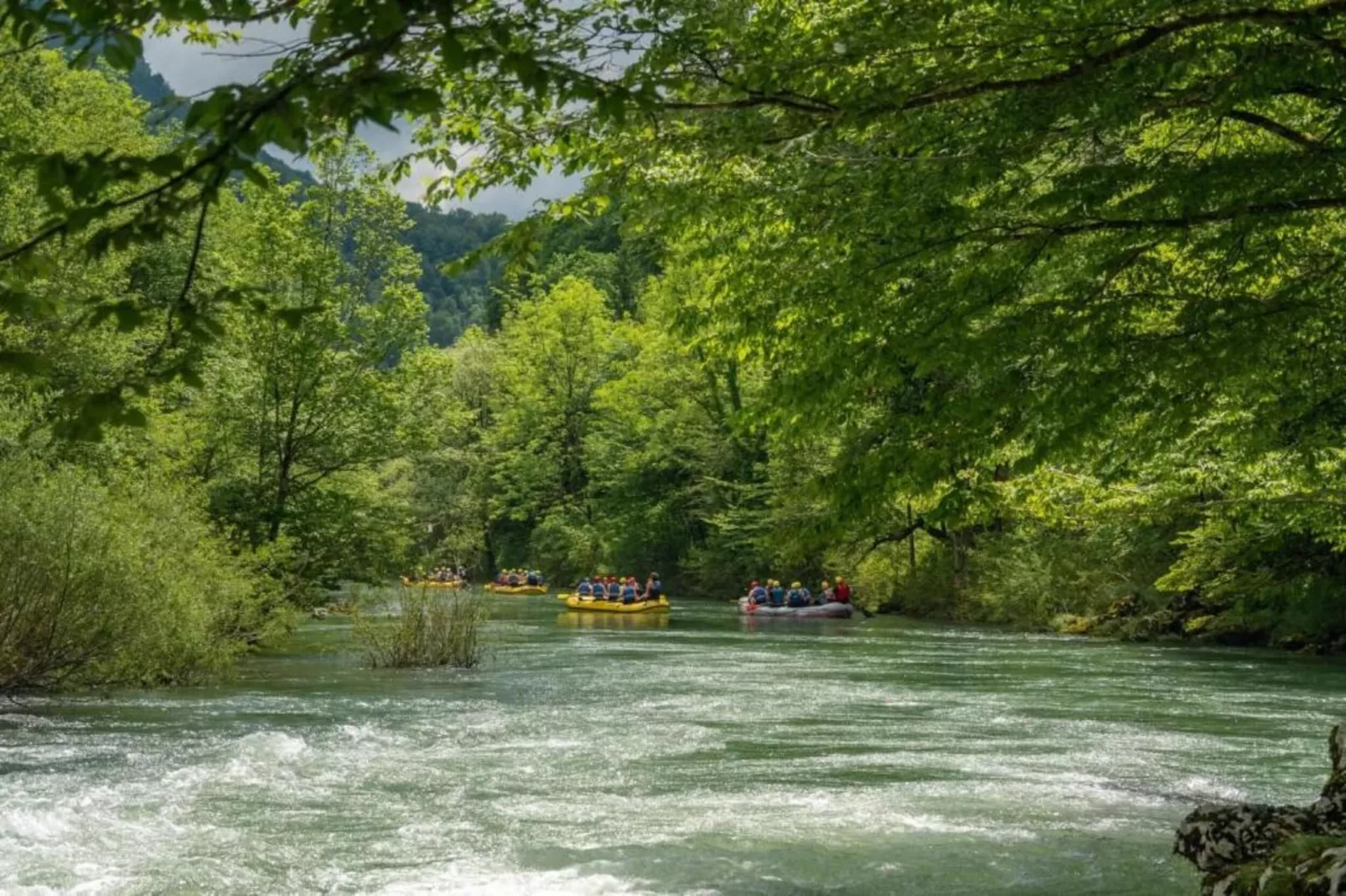 Holiday Houses Silvano-Areas within 20km in summer