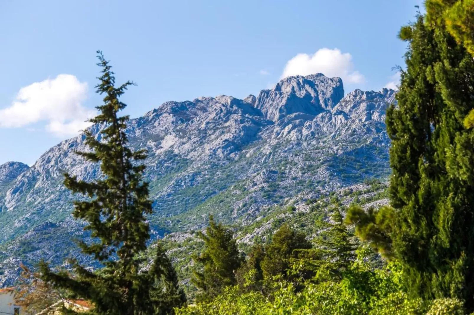 Apartment Kala-Areas within 20km in summer
