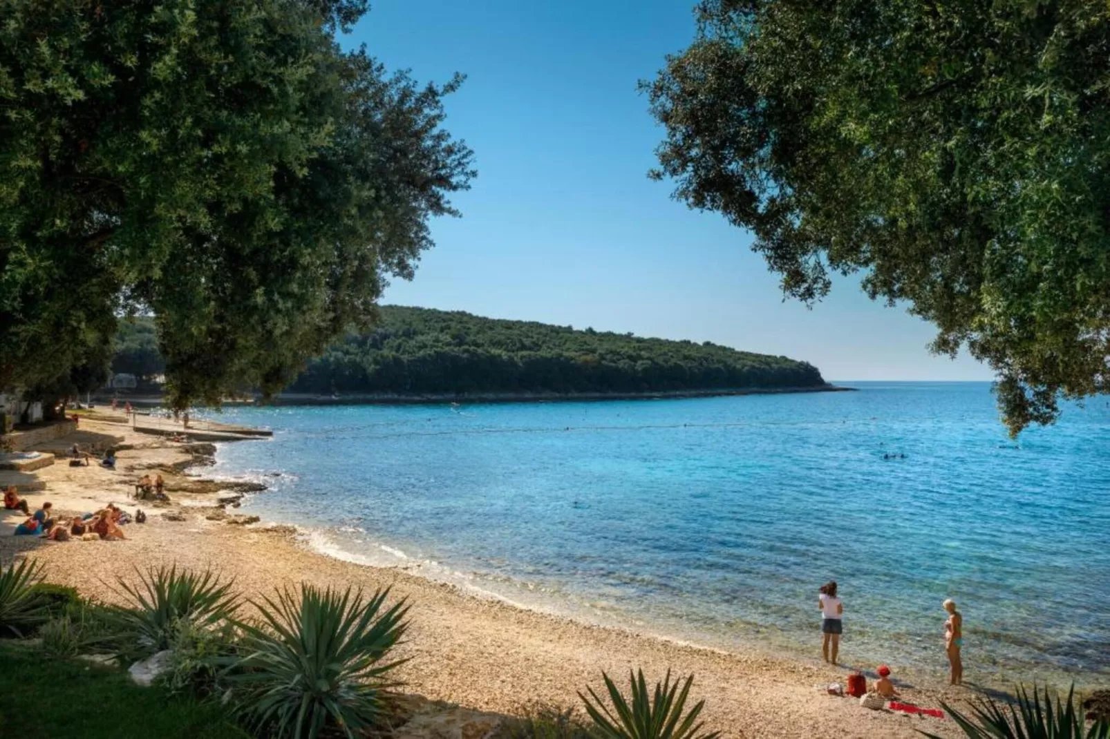 Casa Vacanza Orsera-Areas within 1km in summer