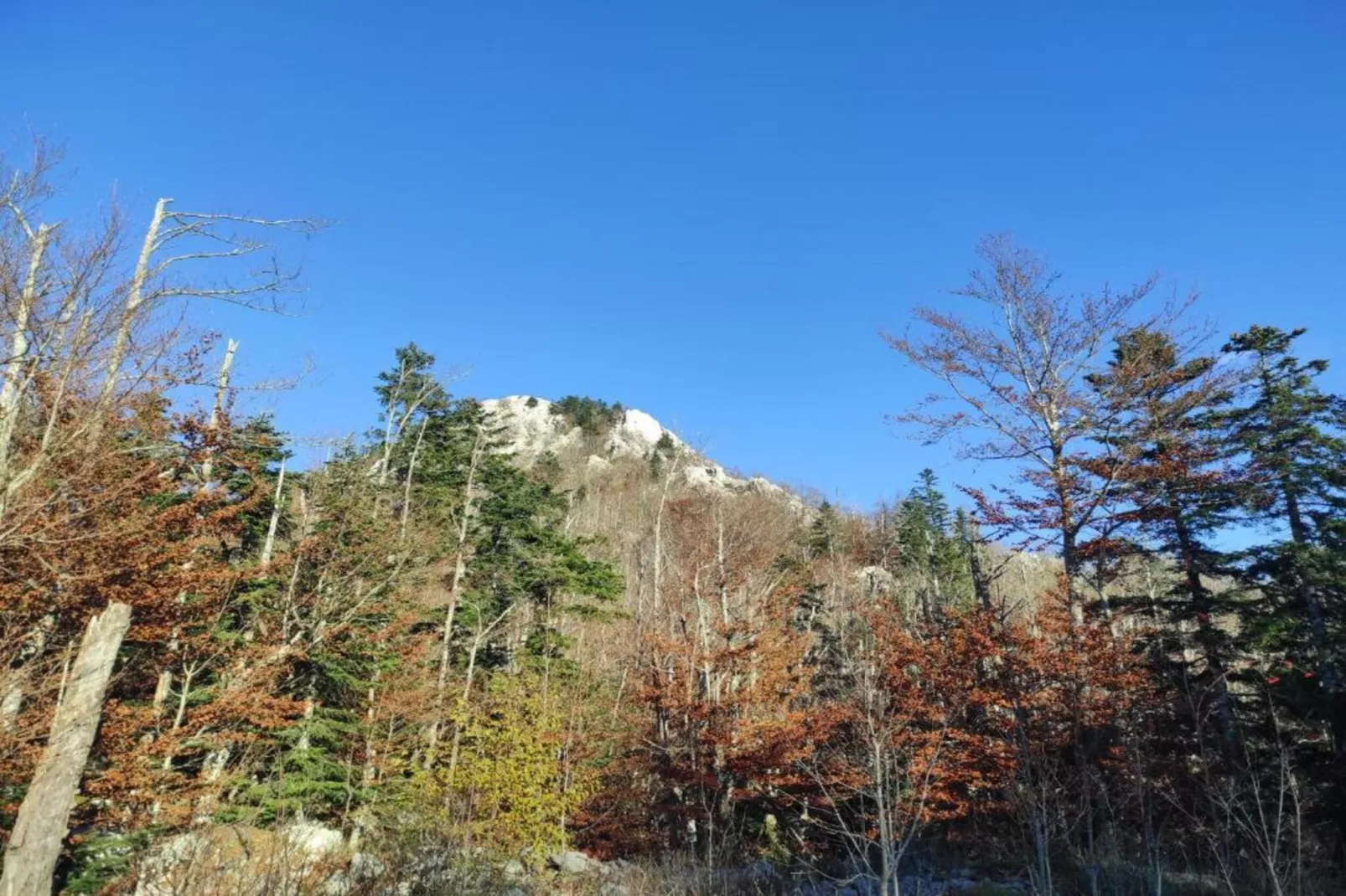 Holiday house Lovinac-Gebiete Sommer 5 km