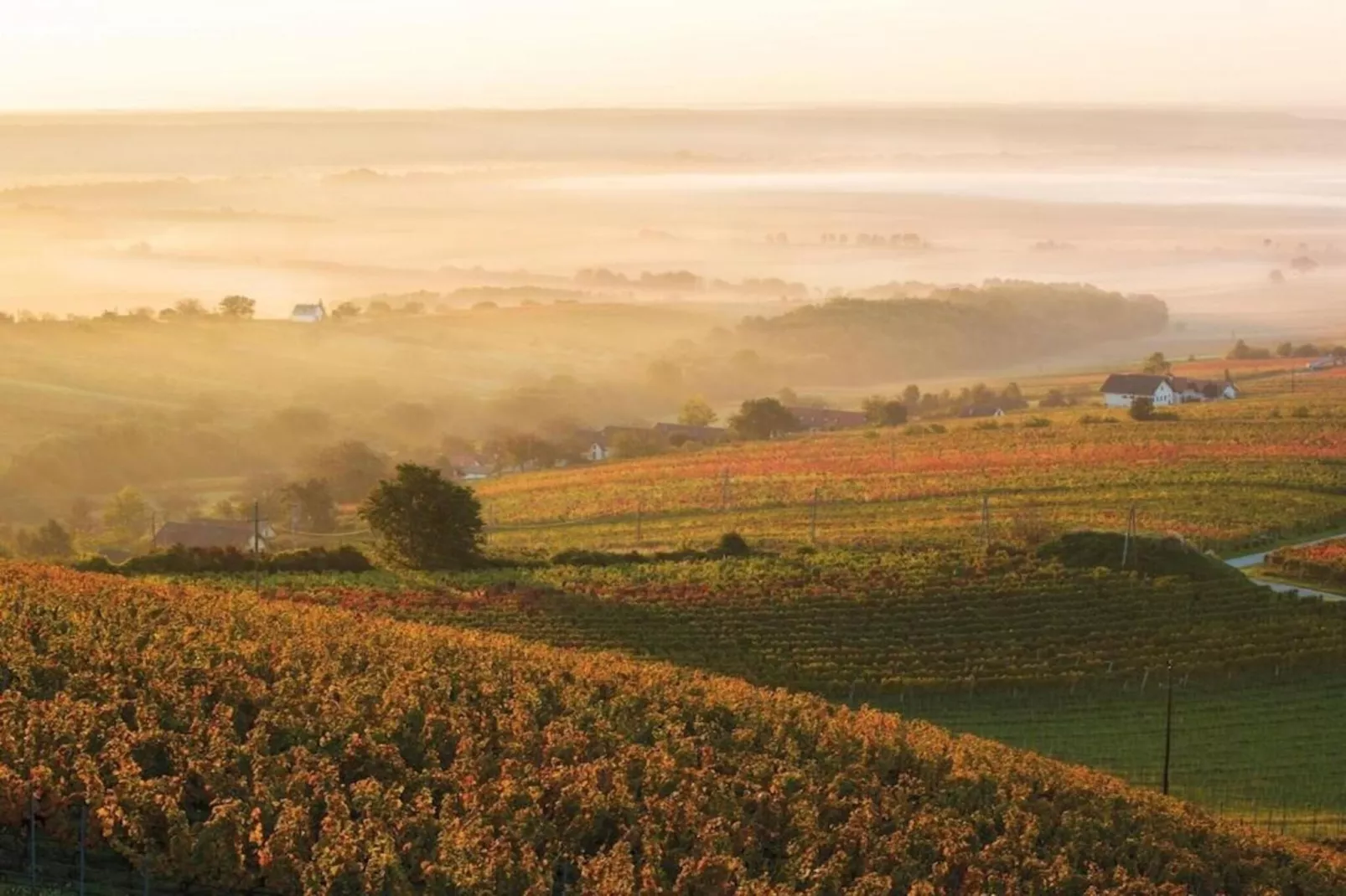 Pannonia Golfresort-Areas within 20km in summer
