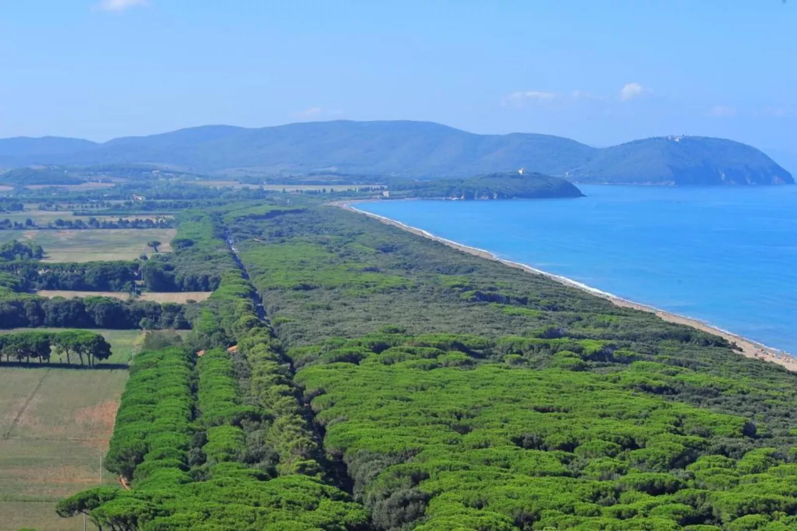 Casa Oleandri-Areas within 5km in summer
