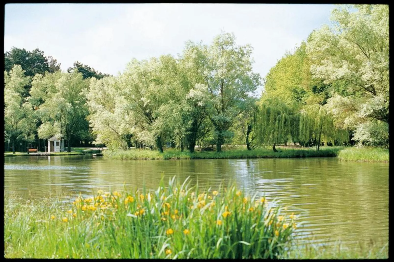 Priore-Areas within 20km in summer