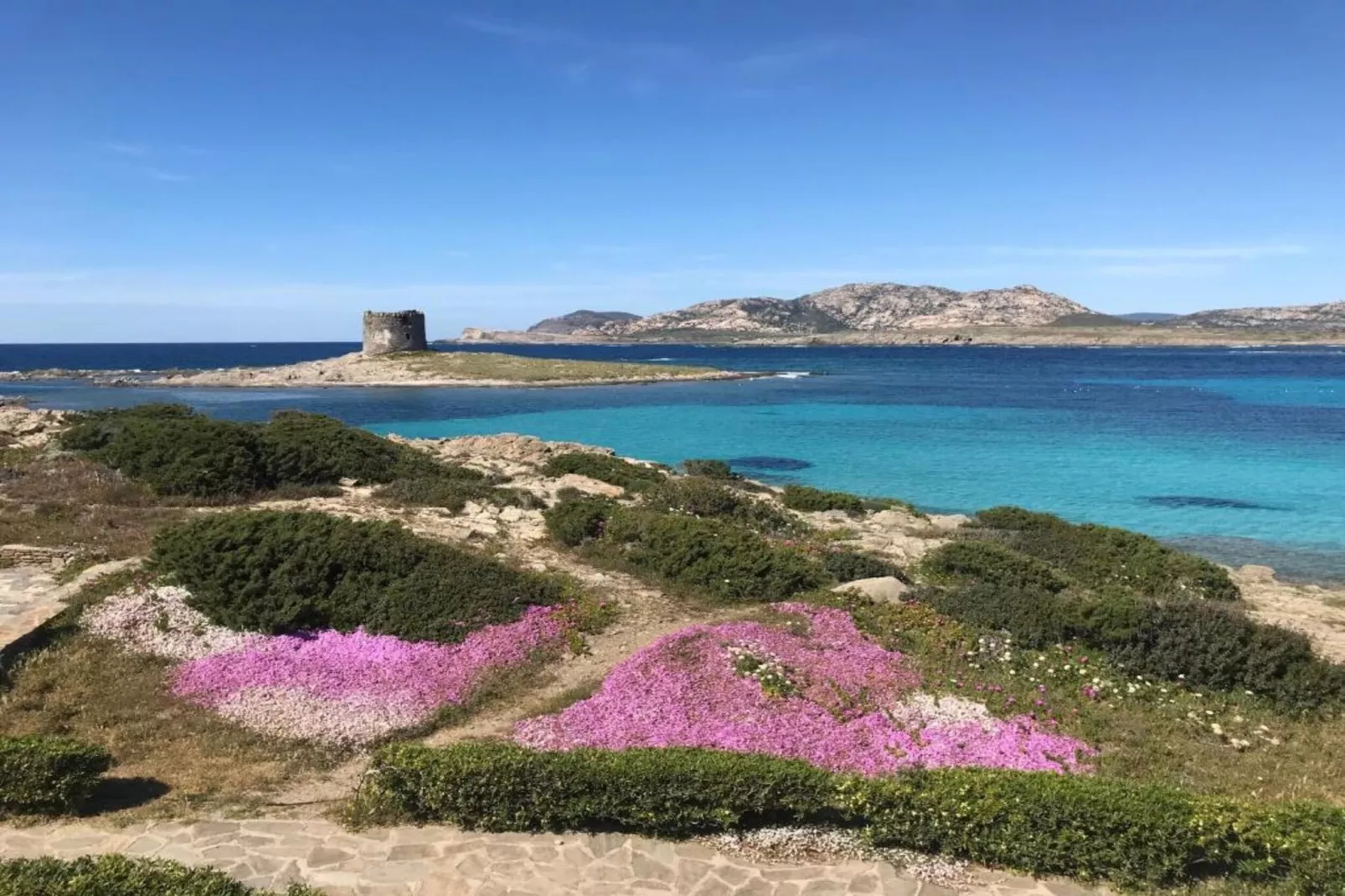 Capo Falcone Bilo4 Premium-Areas within 20km in summer