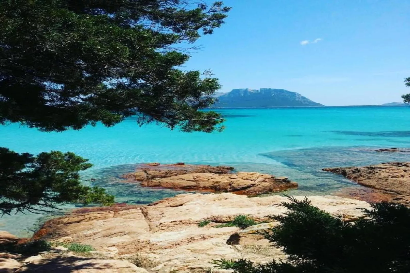 Gallura Trilo-Areas within 20km in summer