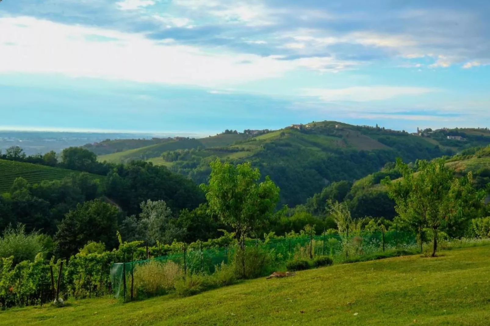 Niella-Areas within 20km in summer