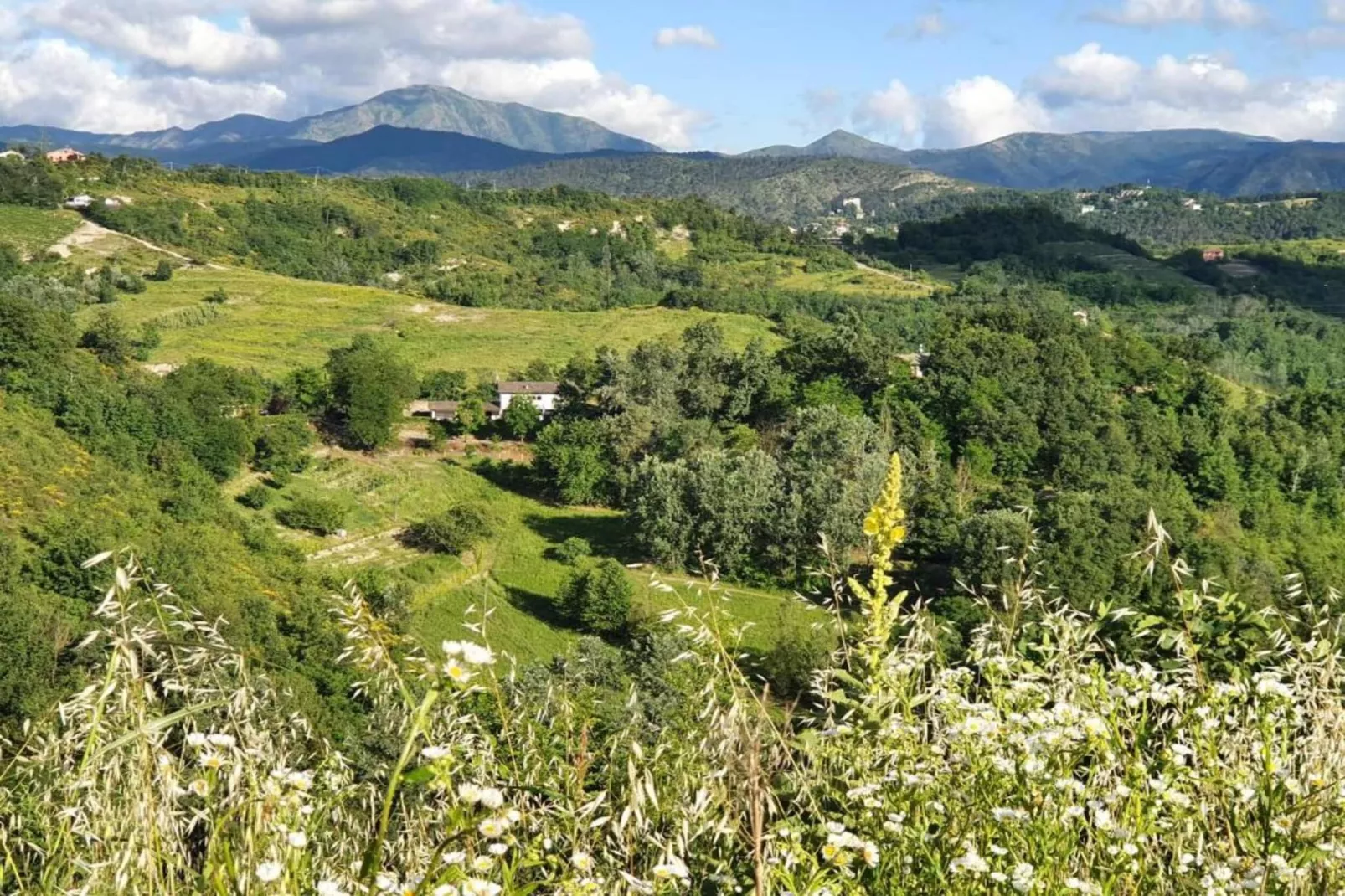 Nobile-Areas within 20km in summer