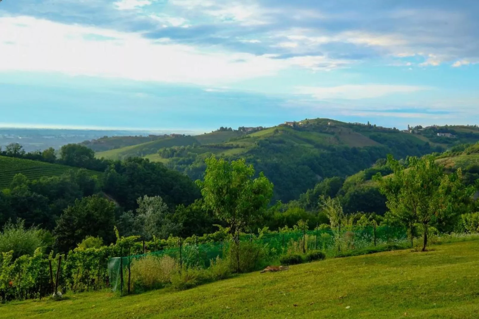 Barolo-Areas within 20km in summer