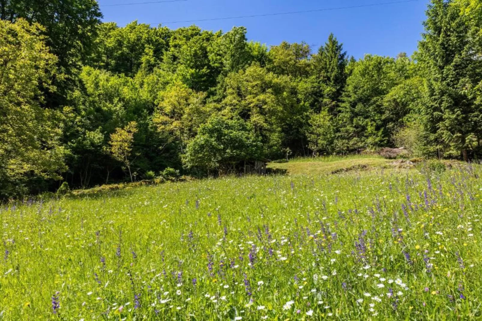 Ronco Frati-Areas within 20km in summer