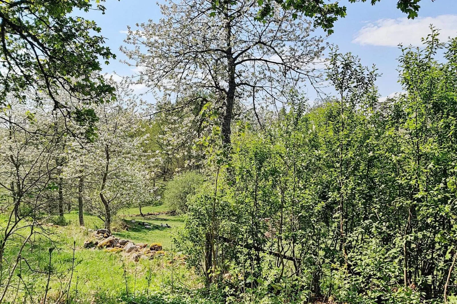 4 Personen Ferienhaus in AXVALL-By Traum-Nicht zugeordnet
