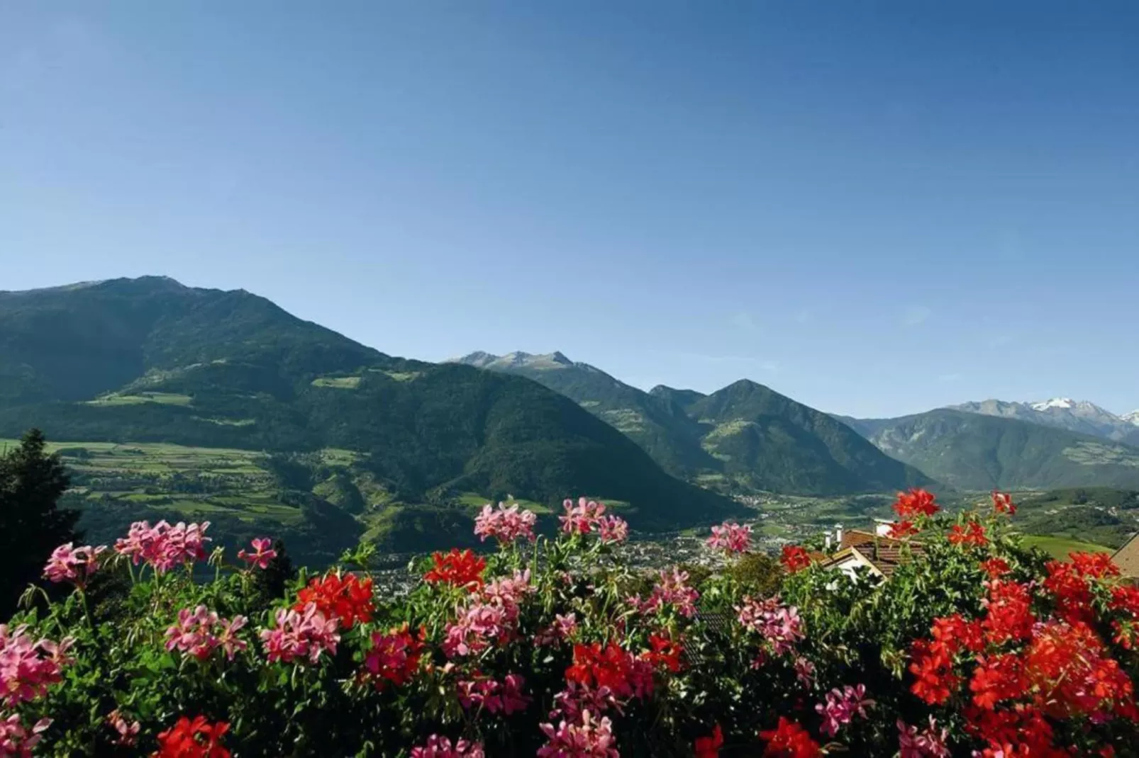Rosalpina-Areas within 20km in summer