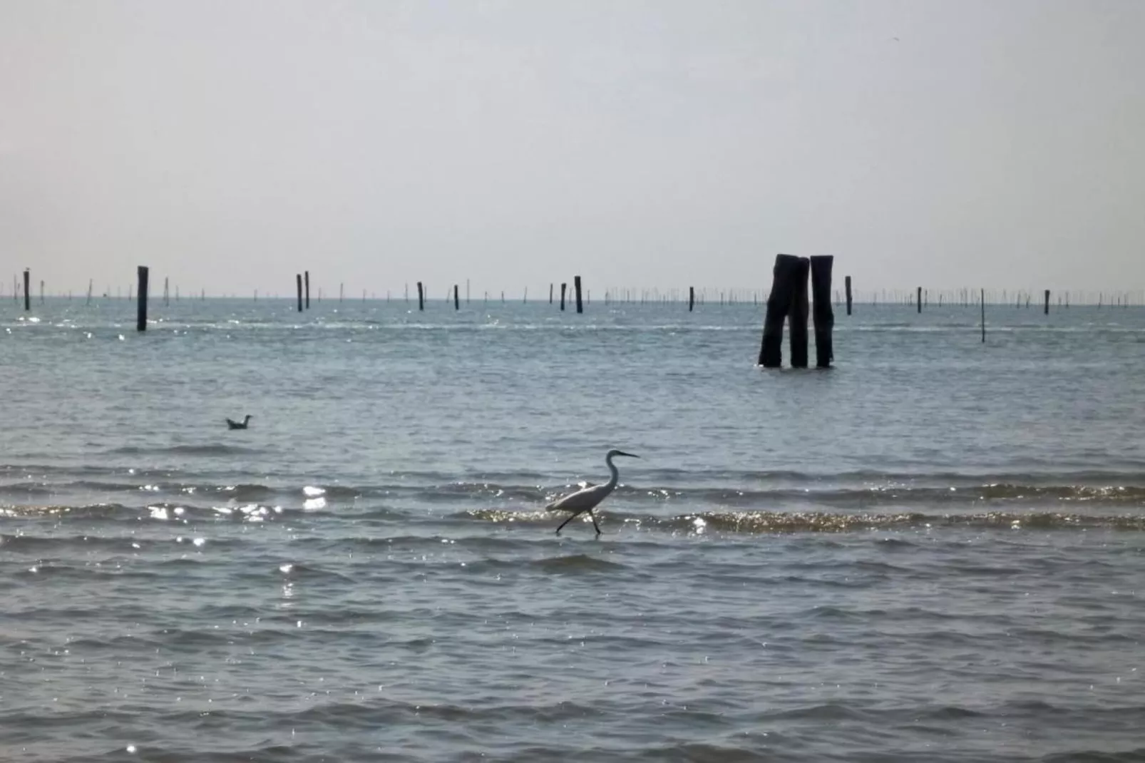 Oasi Bianca-Areas within 20km in summer