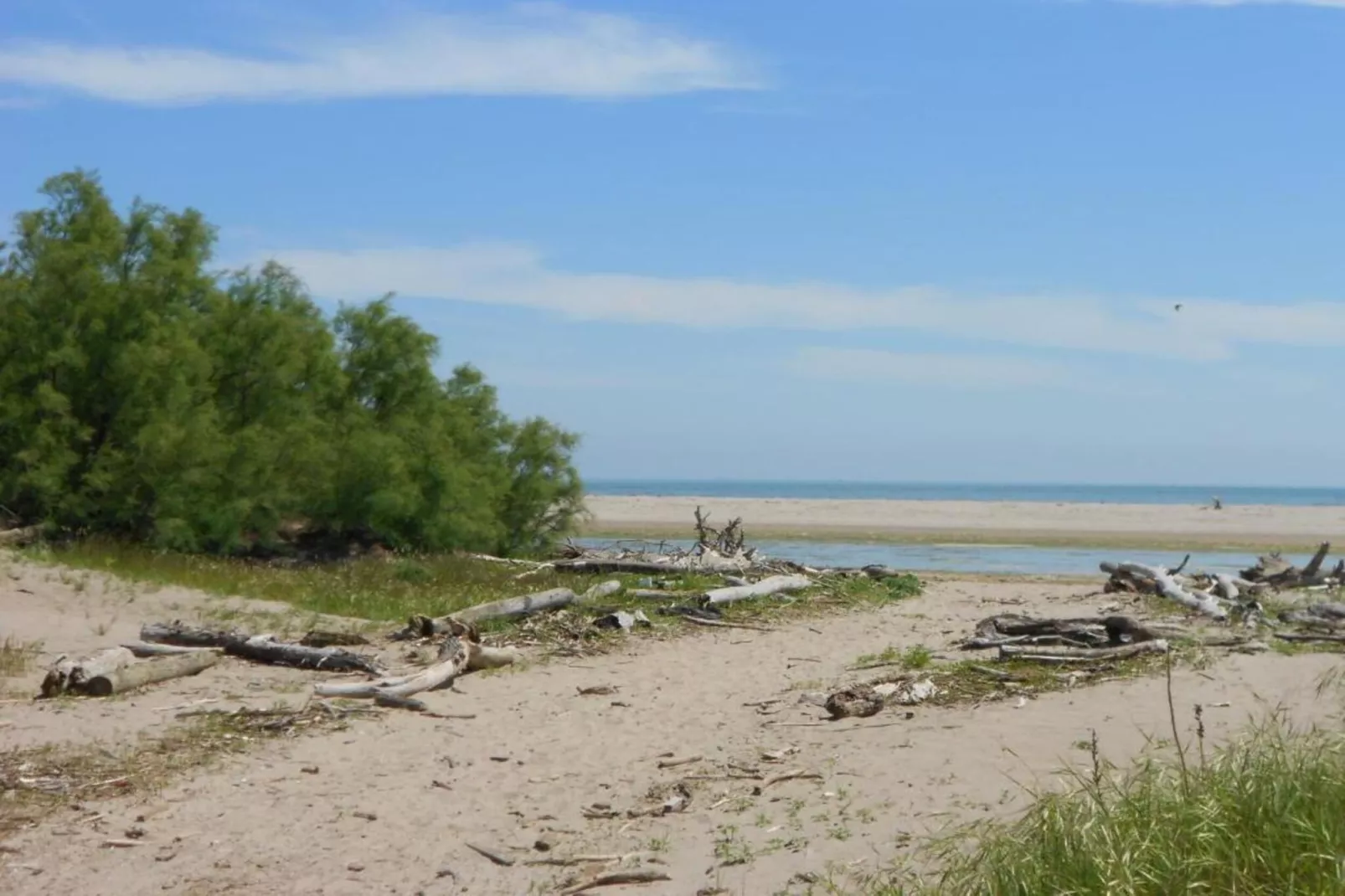 Ceseta 3 - Areas within 1km in summer