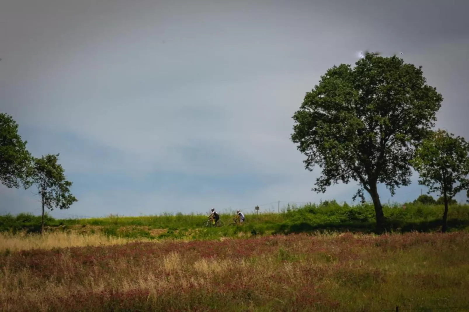 Appartamento Le Colline-Gebiete Sommer 5 km