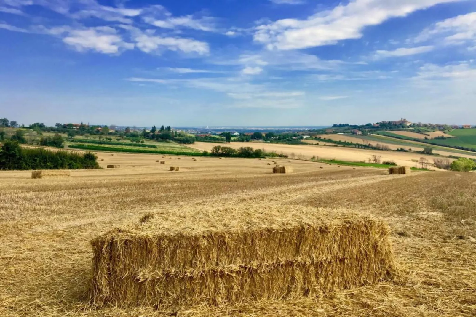 Fratello Campo-Zones été à 5 km